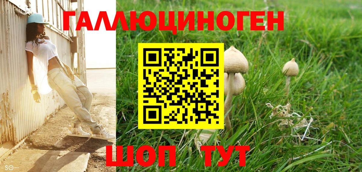 Псилоцибиновые грибы MAGIC MUSHROOMS  Вход с VPN  Верхняя Салда 
